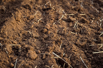 Ploughed field, soil close up, agricultural background