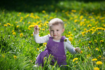 little girl plays on a glade with the blossoming dandelions