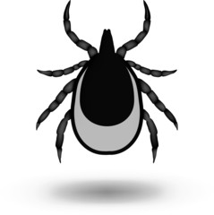vector image of a tick