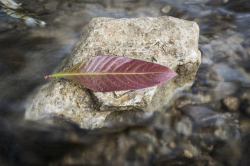 Stein in der Brandung
