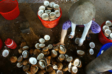Asian worker, coconut, copra, material, Mekong Delta