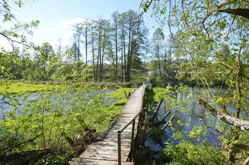 Дятьковская весна