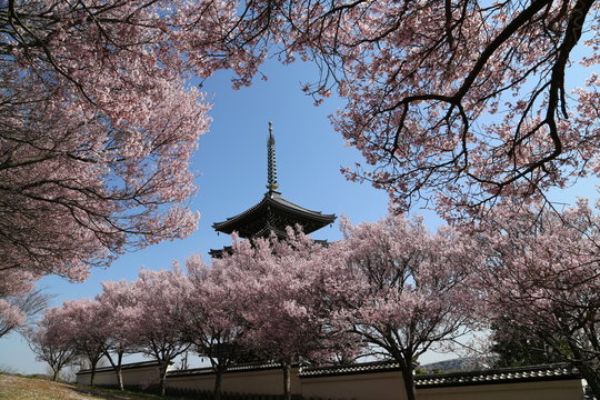 6 Best 日本の風景 日本らしい 和風 風景 Images Stock Photos Vectors Adobe Stock 6 Best 日本の風景 日本らしい 和風 風景 Images Stock Photos Vectors Adobe Stock