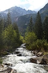 Obraz premium Górski potok