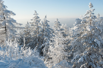 Trees under snow (Abzakovo, Urals, Russia)