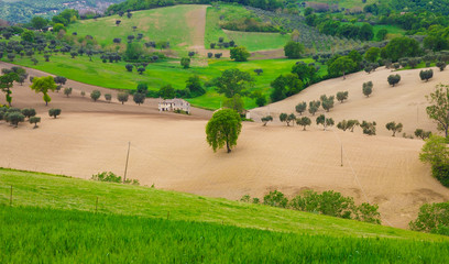 Fototapeta premium Antico casolare di campagna nella regione marche.