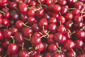fresh organic cherries at the local market