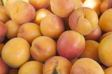 fresh organic apricots at the local market