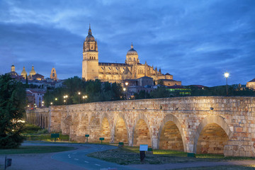 Fototapeta na wymiar Romana Bridge with New Cathedral in Salamanca