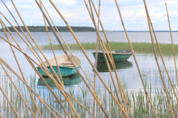 Две лодки, залив, тростник
