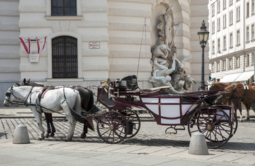 Horse-driven carriage in Vienna, Austria