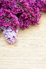Beautiful lilac on a wooden background