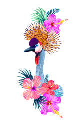 crowned crane vector illustration with tropical flowers