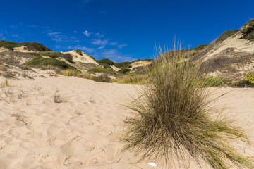 Sandstrand sowie Sanddünen an der Atlantikküste in Andalusien