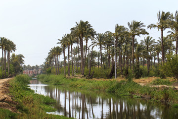 Fototapeta na wymiar Samll Egyptian village