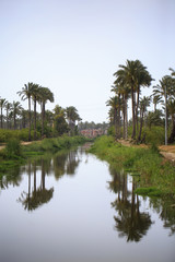 Fototapeta na wymiar Egyptian village