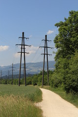 Zwei Strommasten / Telefonmasten an Wanderweg