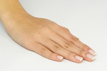 Fototapeta premium Woman Hand