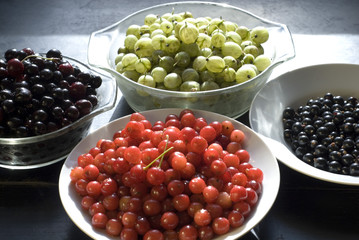 Harvest summer fruits