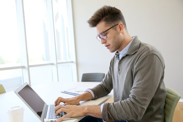 Fototapeta na wymiar Businessman using laptop in contemporary working room