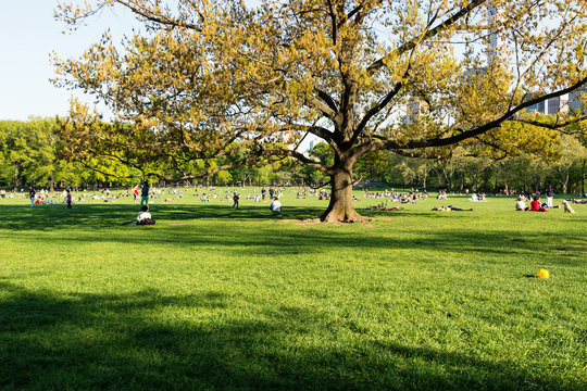 NEW YORK CITY - MAY 2015: People enjoying outdoors activities in