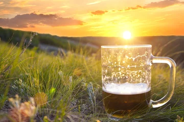 Foto op Plexiglas mug of cold beer © igorbukhlin