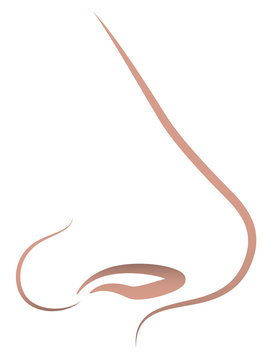 Nose Icon Symbol Outline Illustration