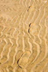 Footprints in the sand at the beach.