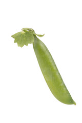 Green peas in a pod