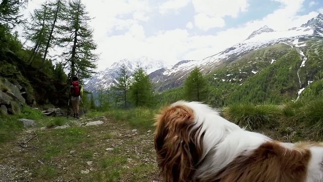 Trekking in montagna con amica fedele