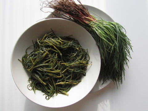 Salsola soda cotta e cruda