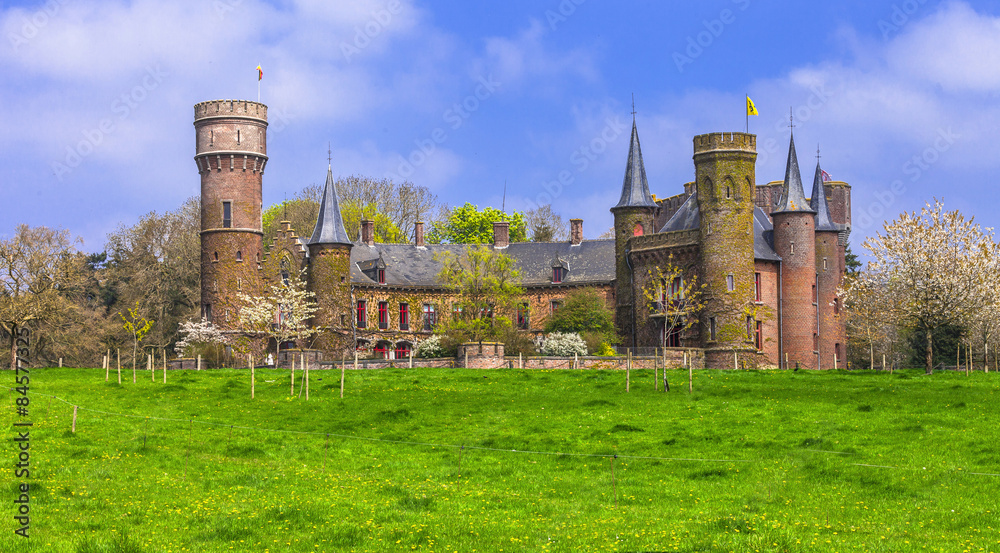 Wall mural beautiful medieval castles of belgium. wijnedale