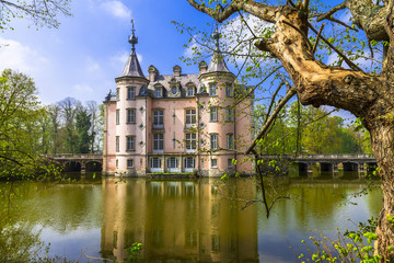 Fototapeta na wymiar romantic medieval castle Poeke. Belgium