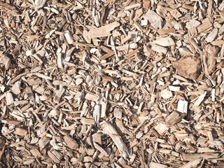 ウッドチップ