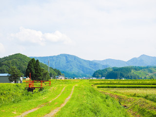 秋田の初夏