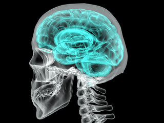 Concept of an Active Human Brain on a Dark Vector