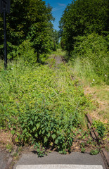 Stilllegung von Bahnstrecken und Infrastruktur