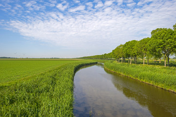 Trees along a river through the countryside