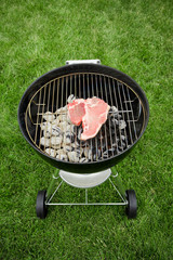 Barbeque: Raw Steak on Grill © seanlockephotography