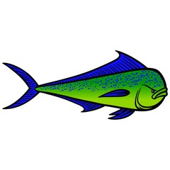 Mahi Mahi Fish