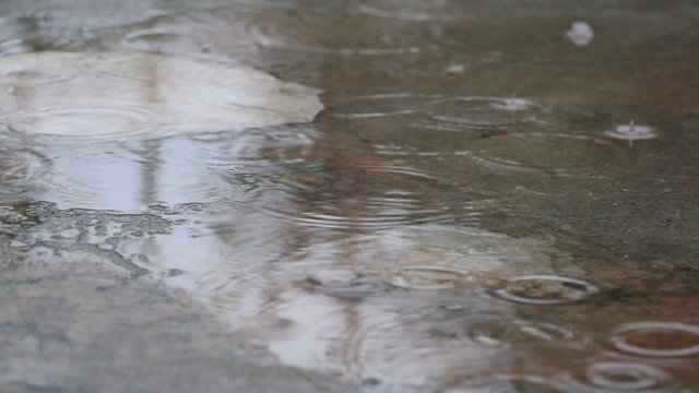 rain drops create ripple
