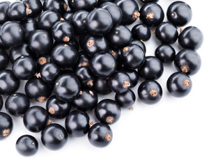 black currants