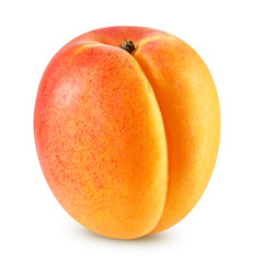 Apricot