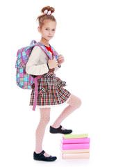 Beautiful girl schoolgirl 