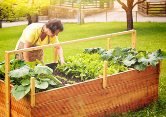 elderly woman working in her garden-gardening 03