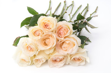 white rose