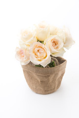 white rose