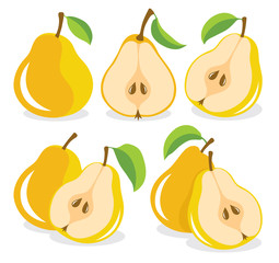 Yellow pears vector illustration