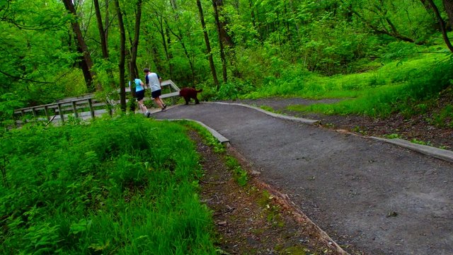 courir
