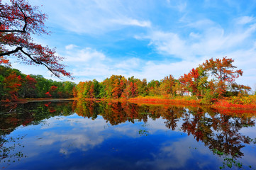 Autumn Reflections in a pond near the Chesapeake Bay, Maryland